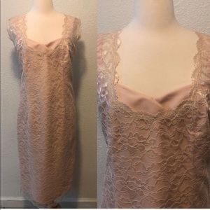 Beautiful Blush Lace Dress